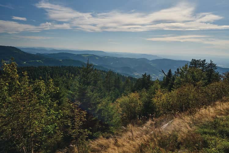 Mummelseeblick, Black Forest