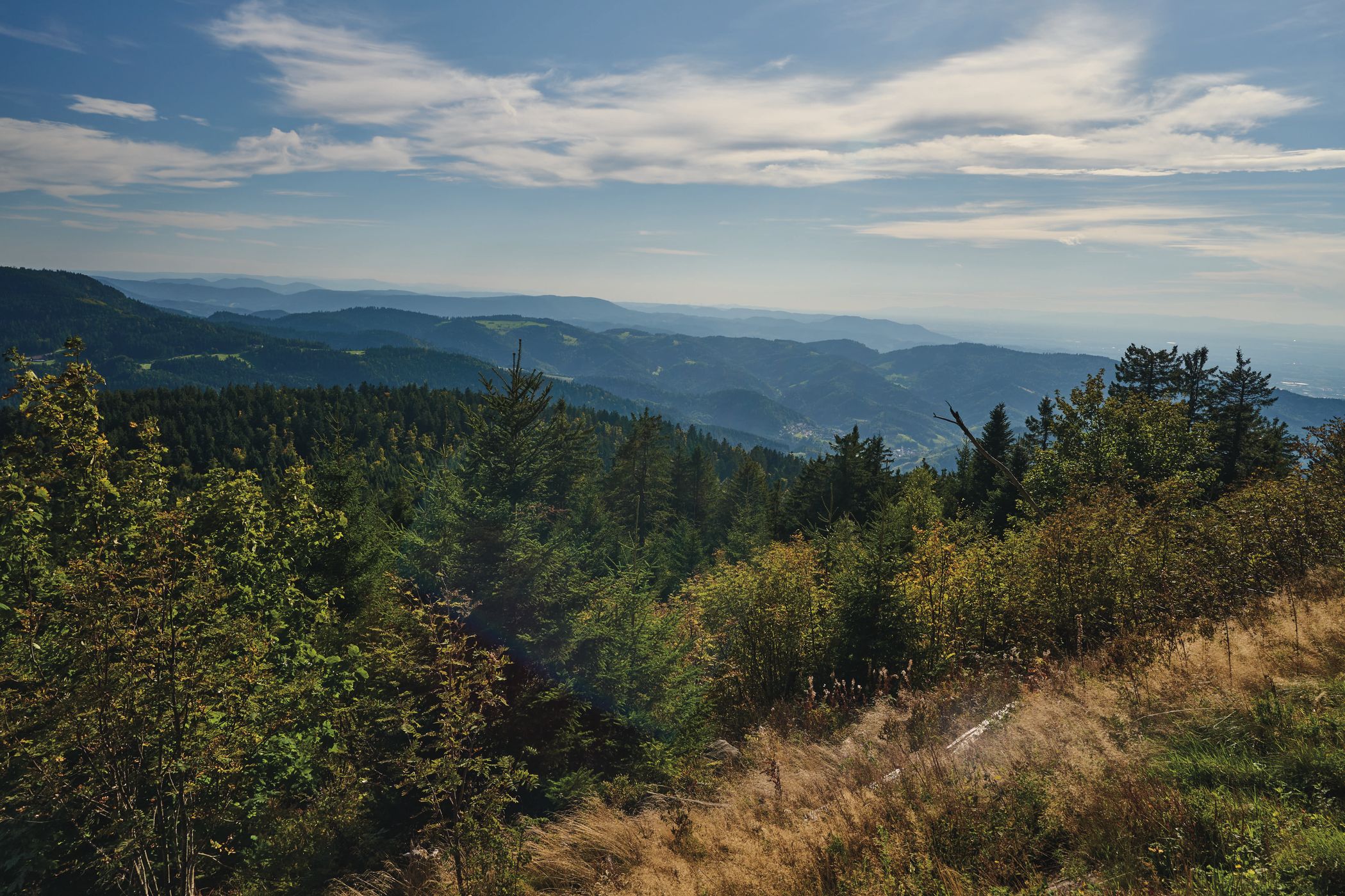 Mummelseeblick, Black Forest, Germany
