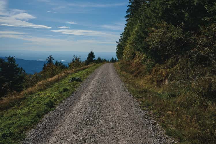 Mummelseeblick, Black Forest