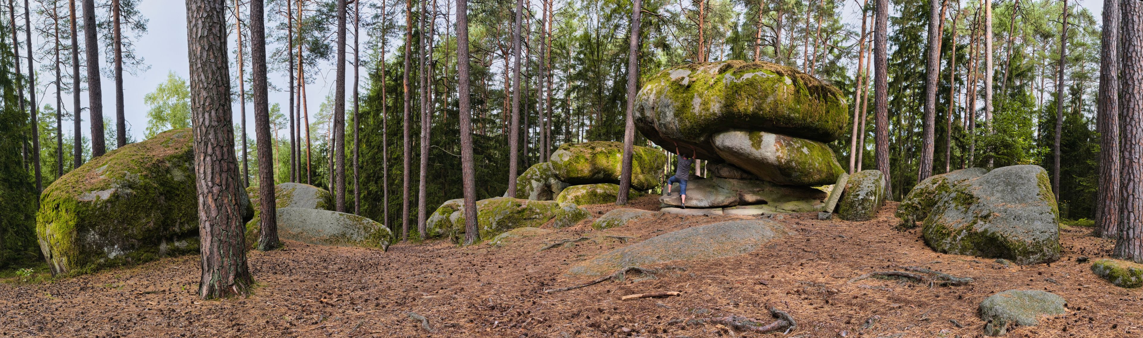 Mushroom stone, Austria