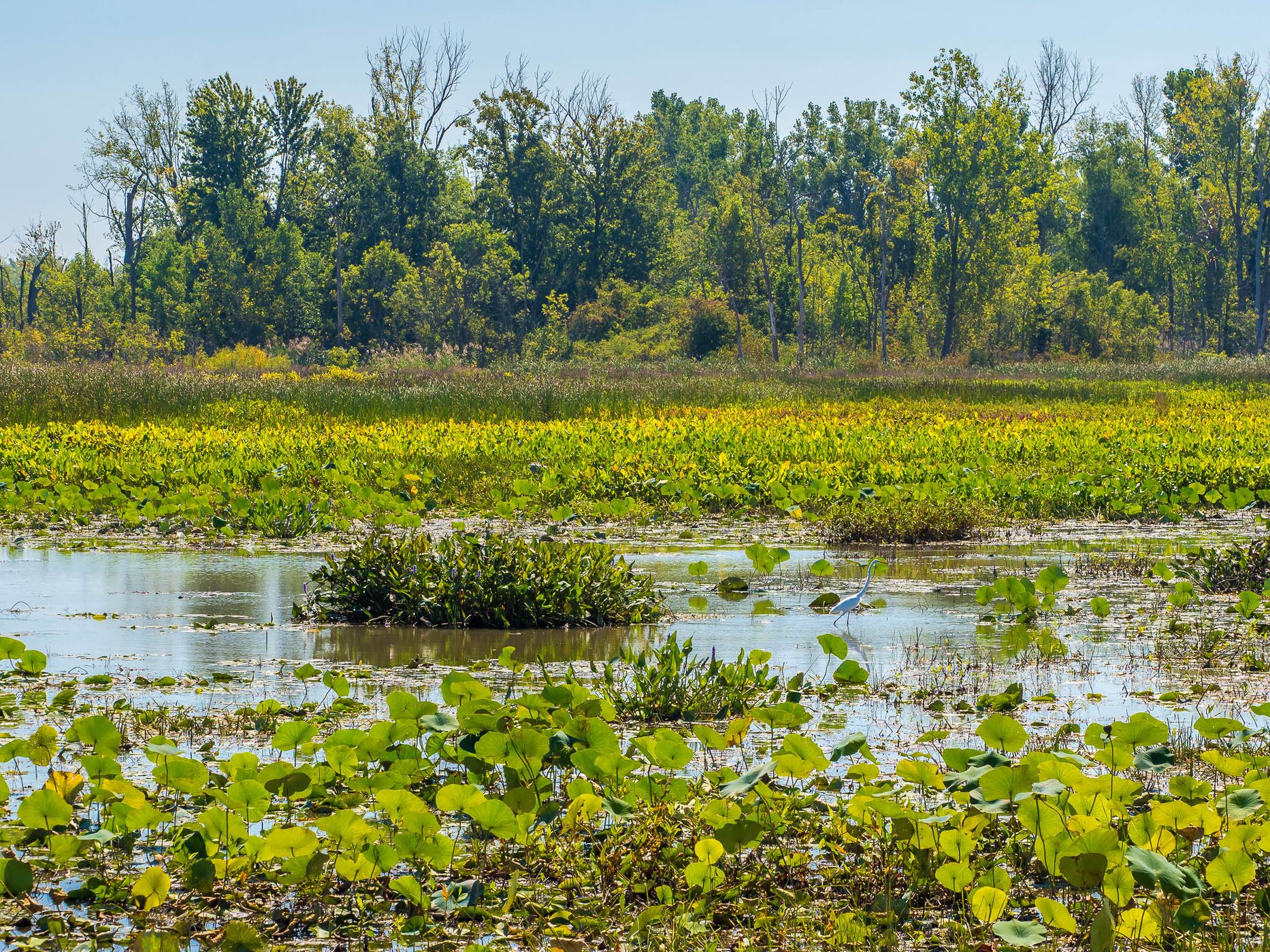 Ottawa National Wildlife Refuge, USA