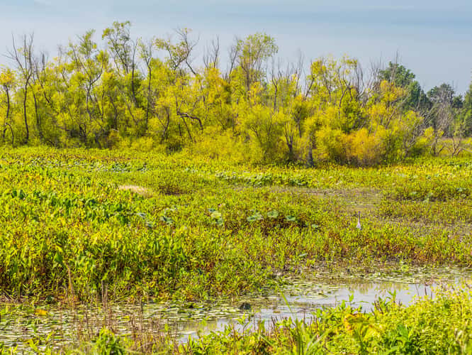 Ottawa National Wildlife Refuge