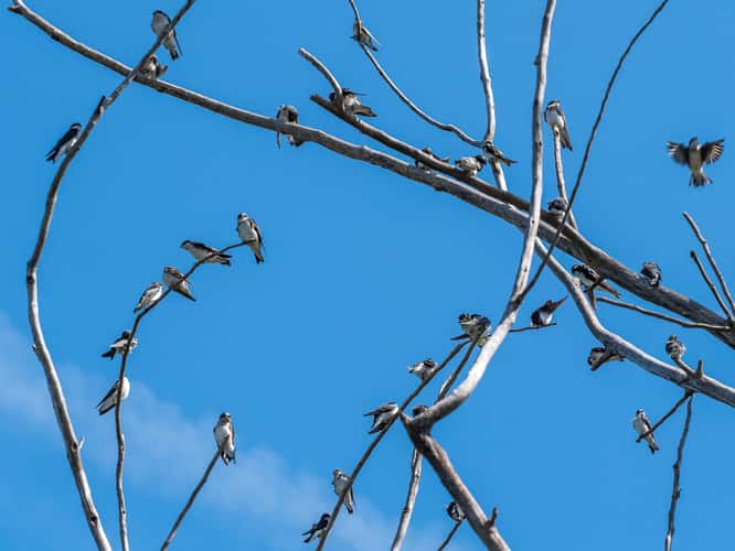 Ottawa National Wildlife Refuge