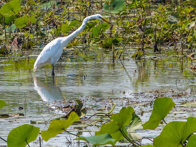 Ottawa National Wildlife Refuge