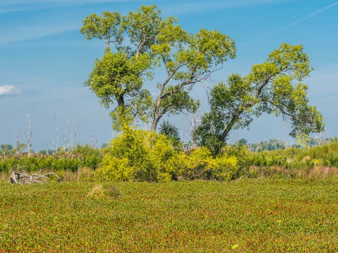 Ottawa National Wildlife Refuge