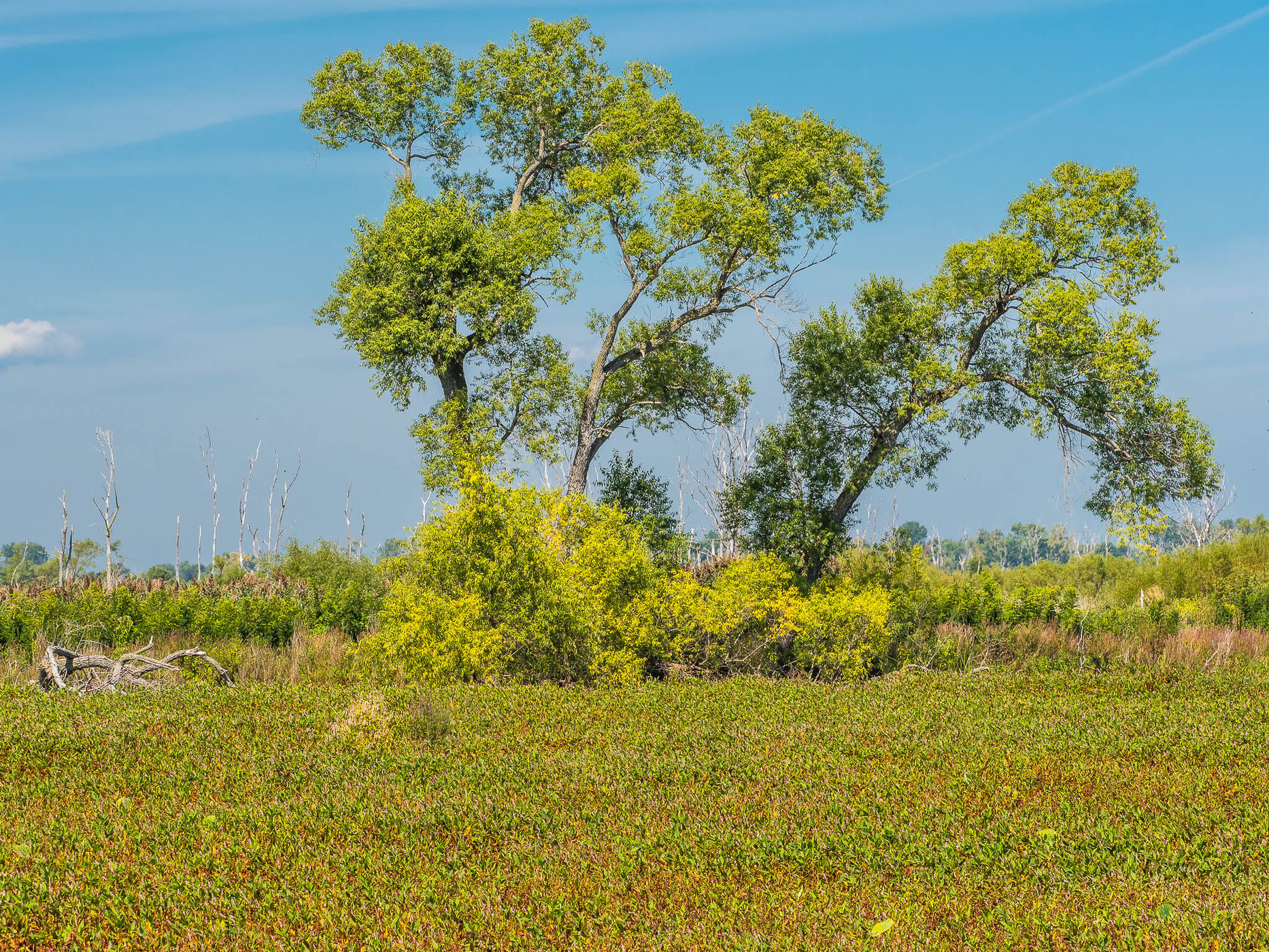 Ottawa National Wildlife Refuge, USA