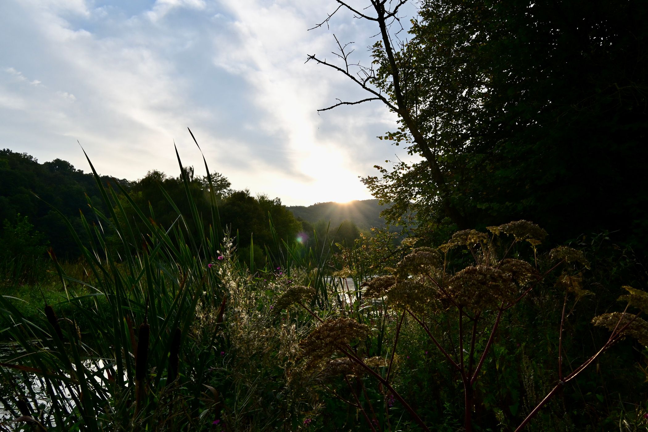 Peninsula in the Fulda, Germany