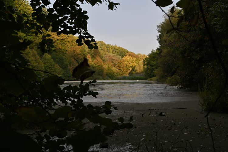 Peninsula in the Fulda