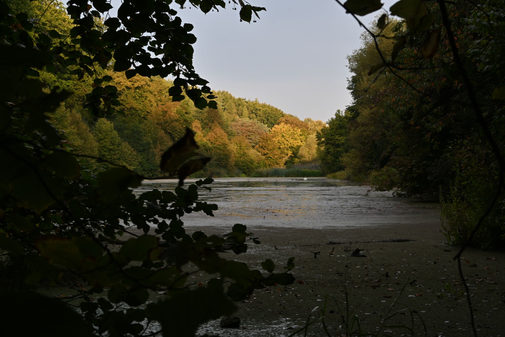 Peninsula in the Fulda, Germany