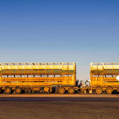 Road Train, Thomson River, Longreach, Queensland, Australia