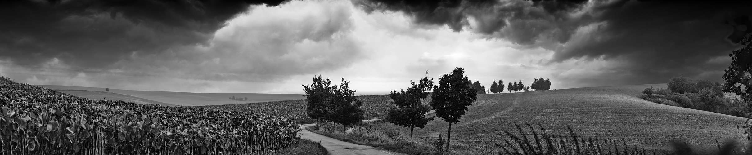 Rolling Hills