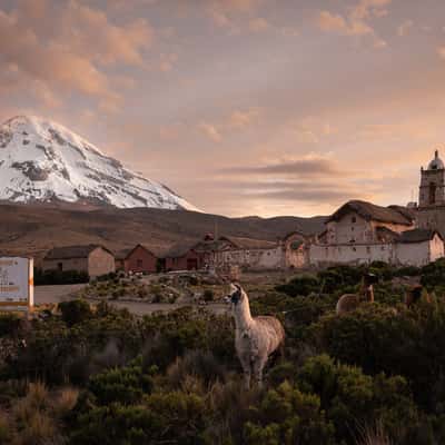 Sajama National Park, Bolivia