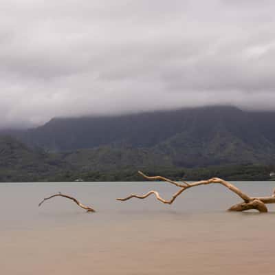 Secret Island Kualoa Ranch, USA