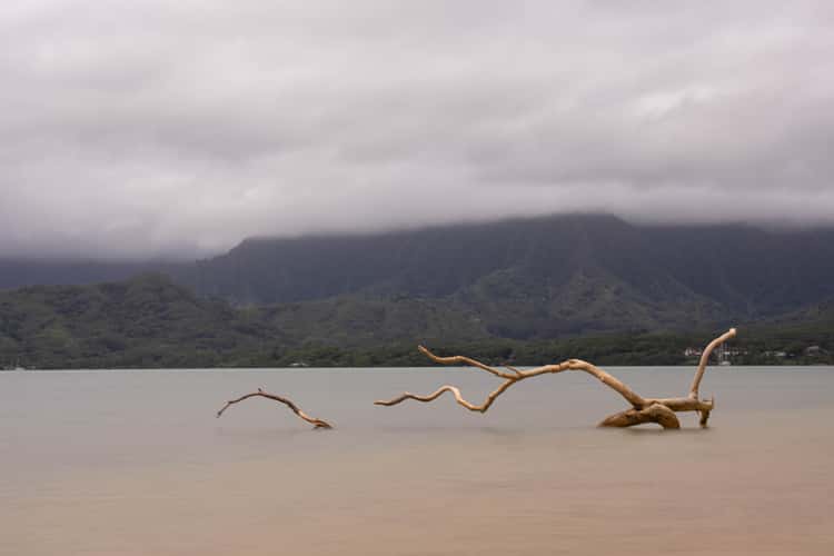 Secret Island Kualoa Ranch