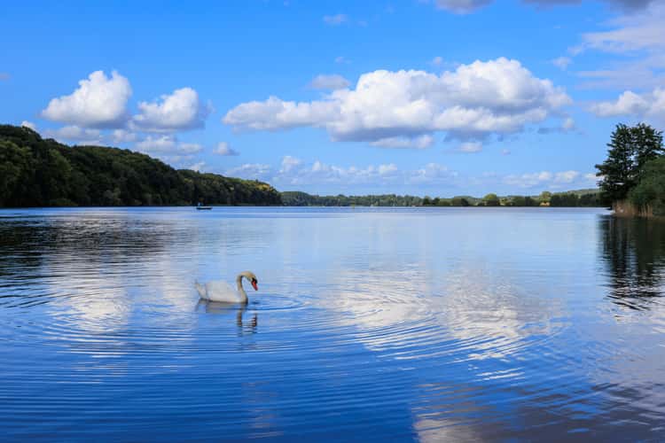 Segeberger See
