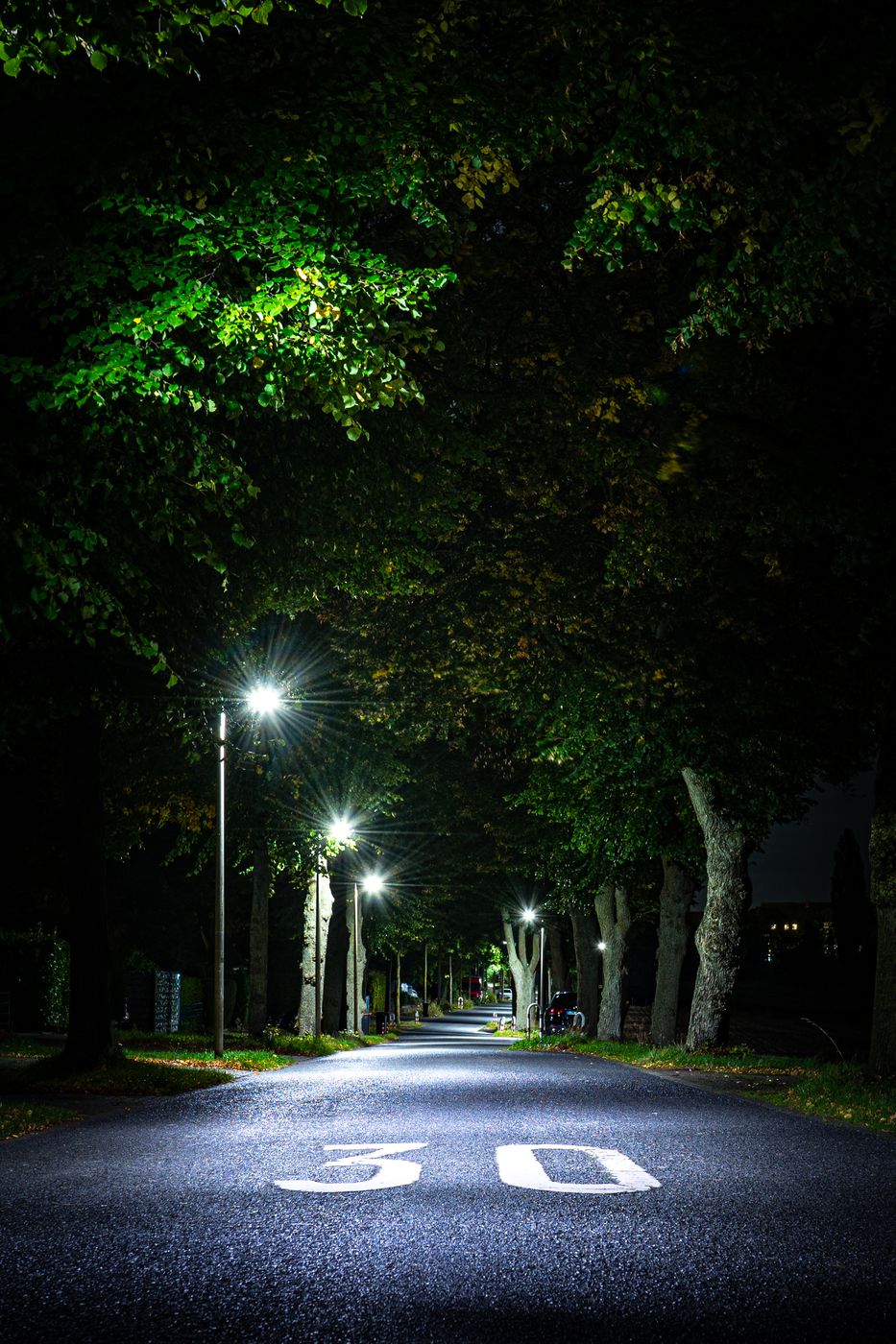 Small avenue with lighting, Germany