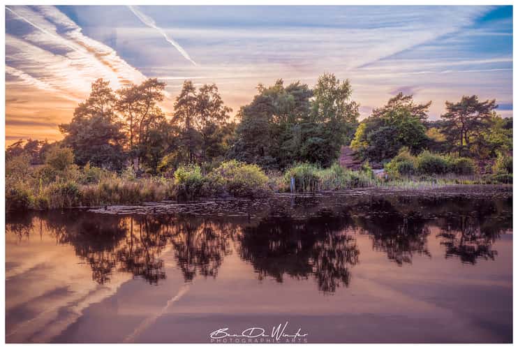 Small pond at De Teut, Zonhoven