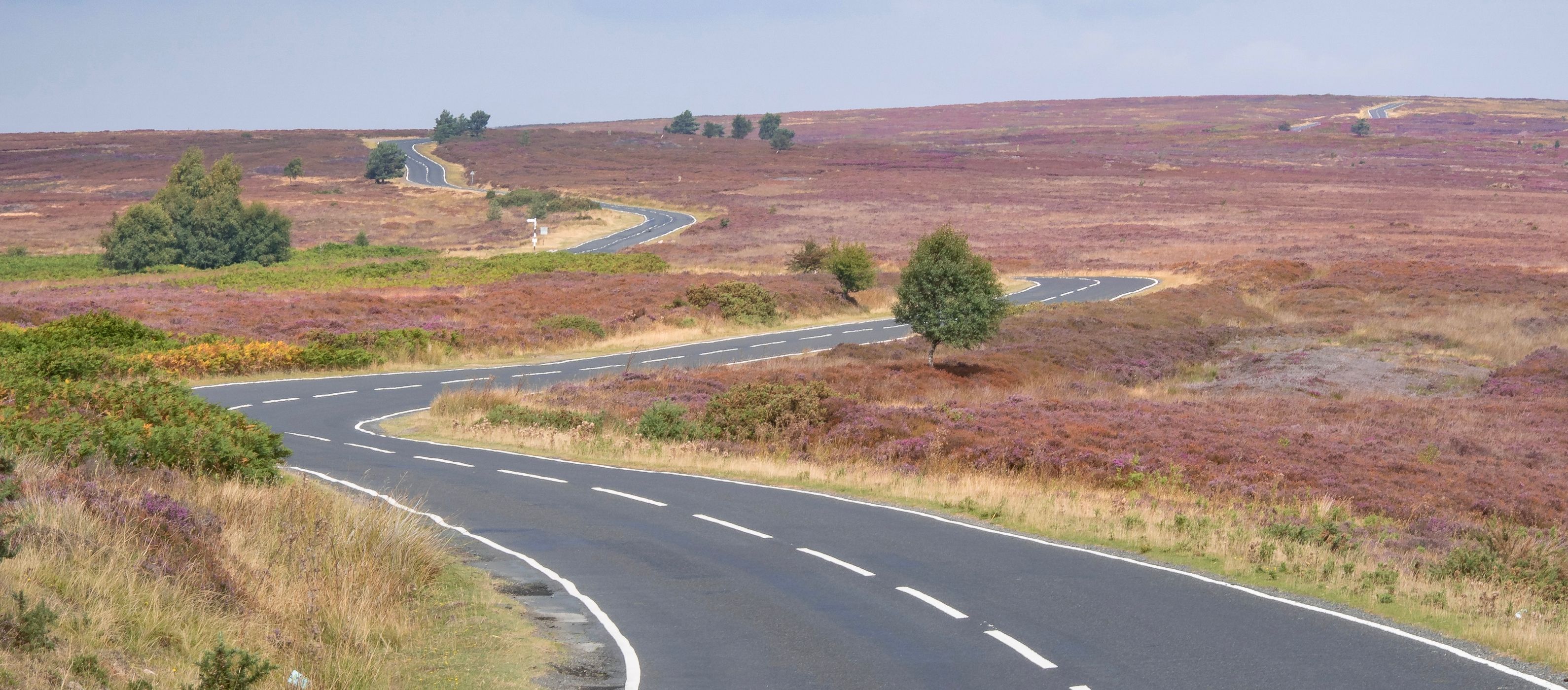 Spaunton Moor, United Kingdom
