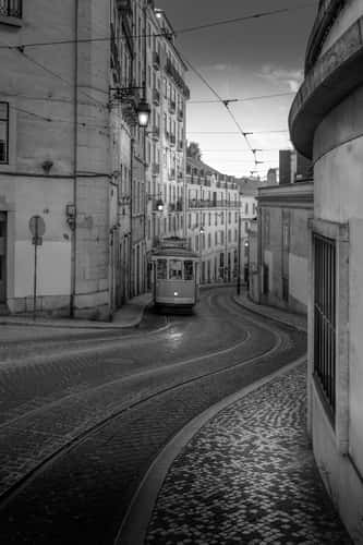 street: Calcada de sao francisco, lisbon.