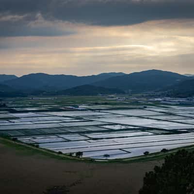 Suncheon Bay Nature Reserve, South Korea