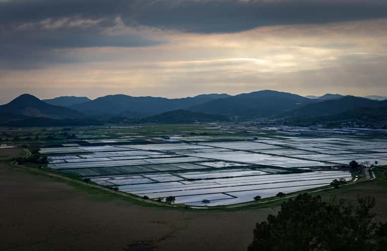Suncheon Bay Nature Reserve