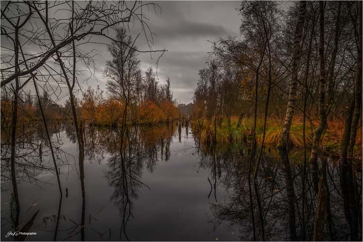 Tarbeker Moor
