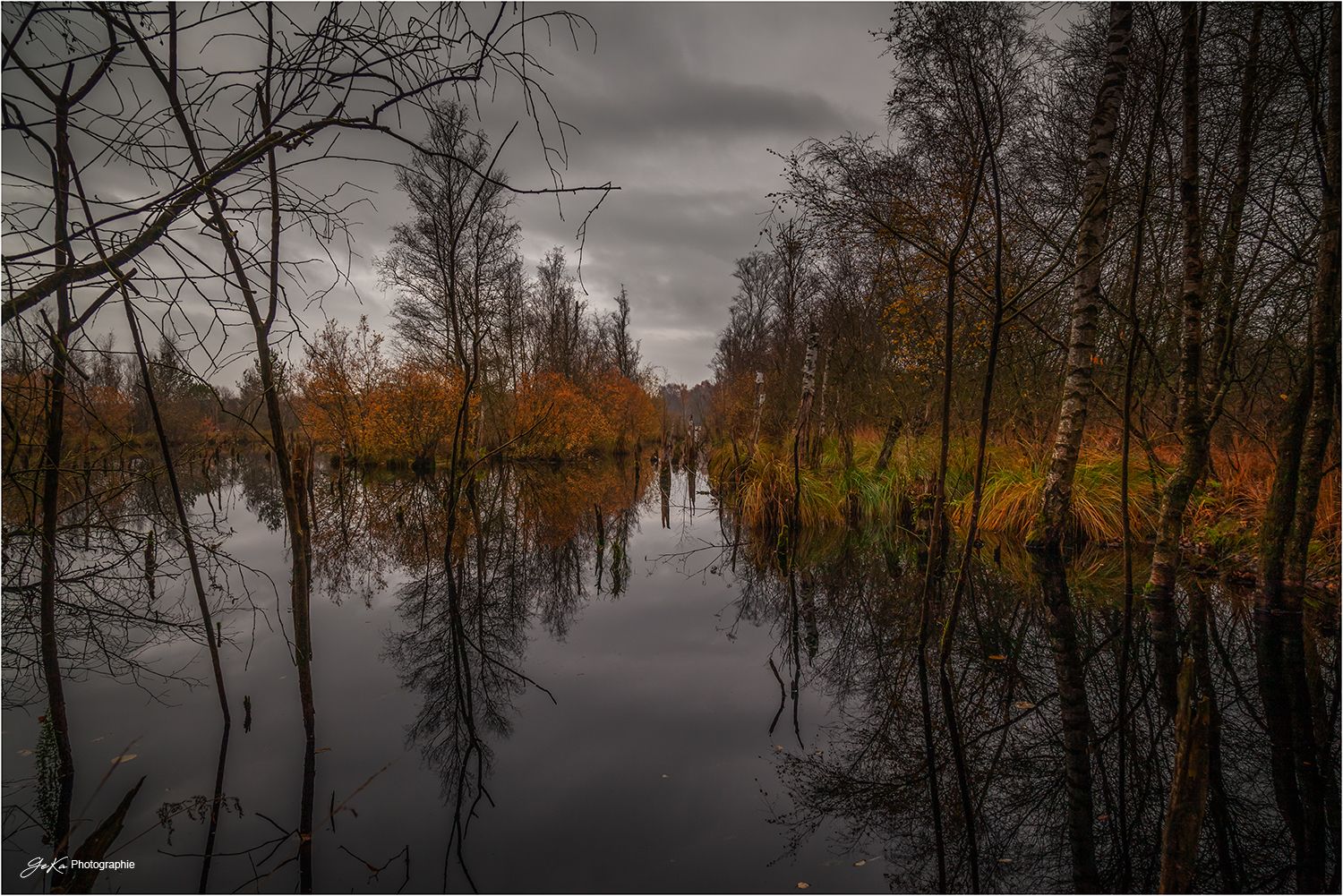 Tarbeker Moor, Germany