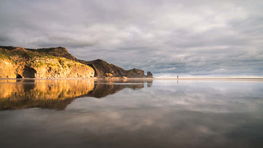 Te Henga Beach