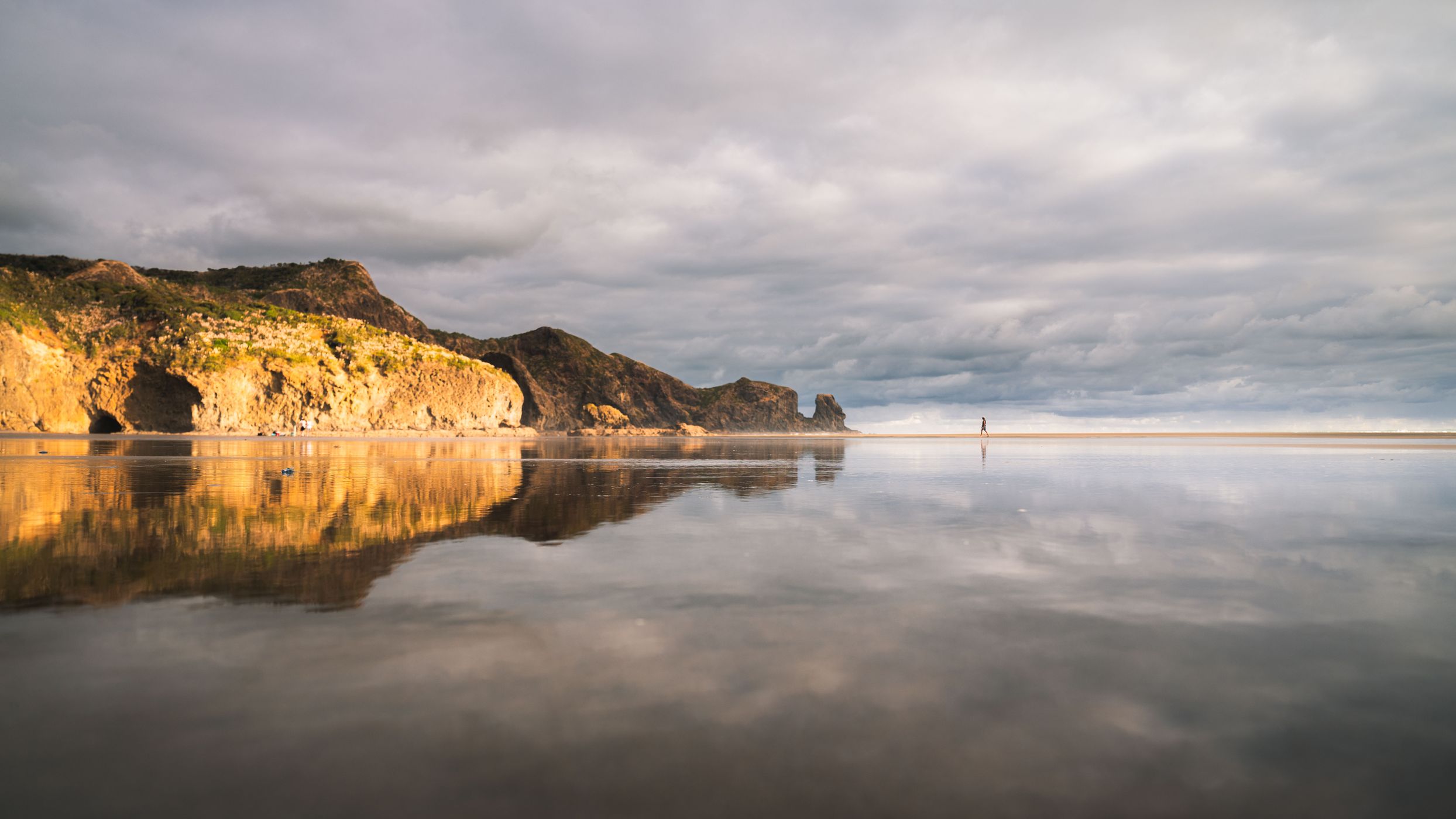 Te Henga Beach, New Zealand