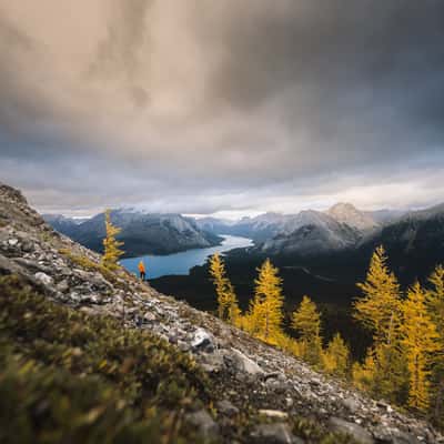 Tent Ridge Horseshoe, Kananaskis Country, Canada