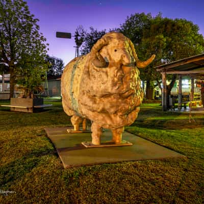 The Big Ram, Blackall, Outback Queensland, Australia