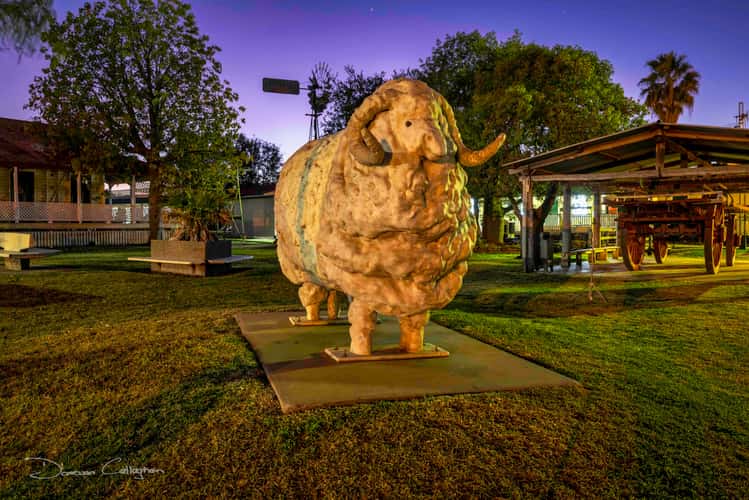 The Big Ram, Blackall, Outback Queensland