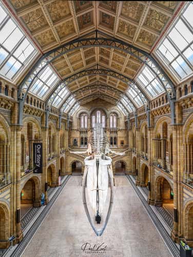 The Natural History Museum Lobby, London