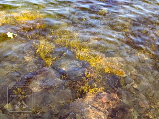 Tidal Falls Preserve