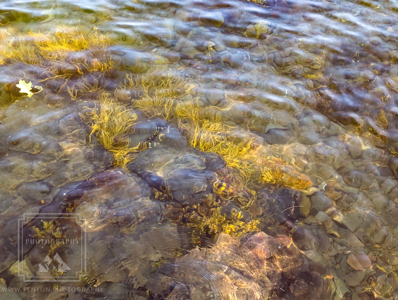 Tidal Falls Preserve, USA
