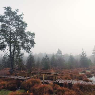 Tister Moor, Germany