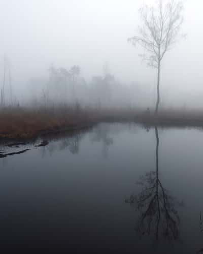 Tister Moor