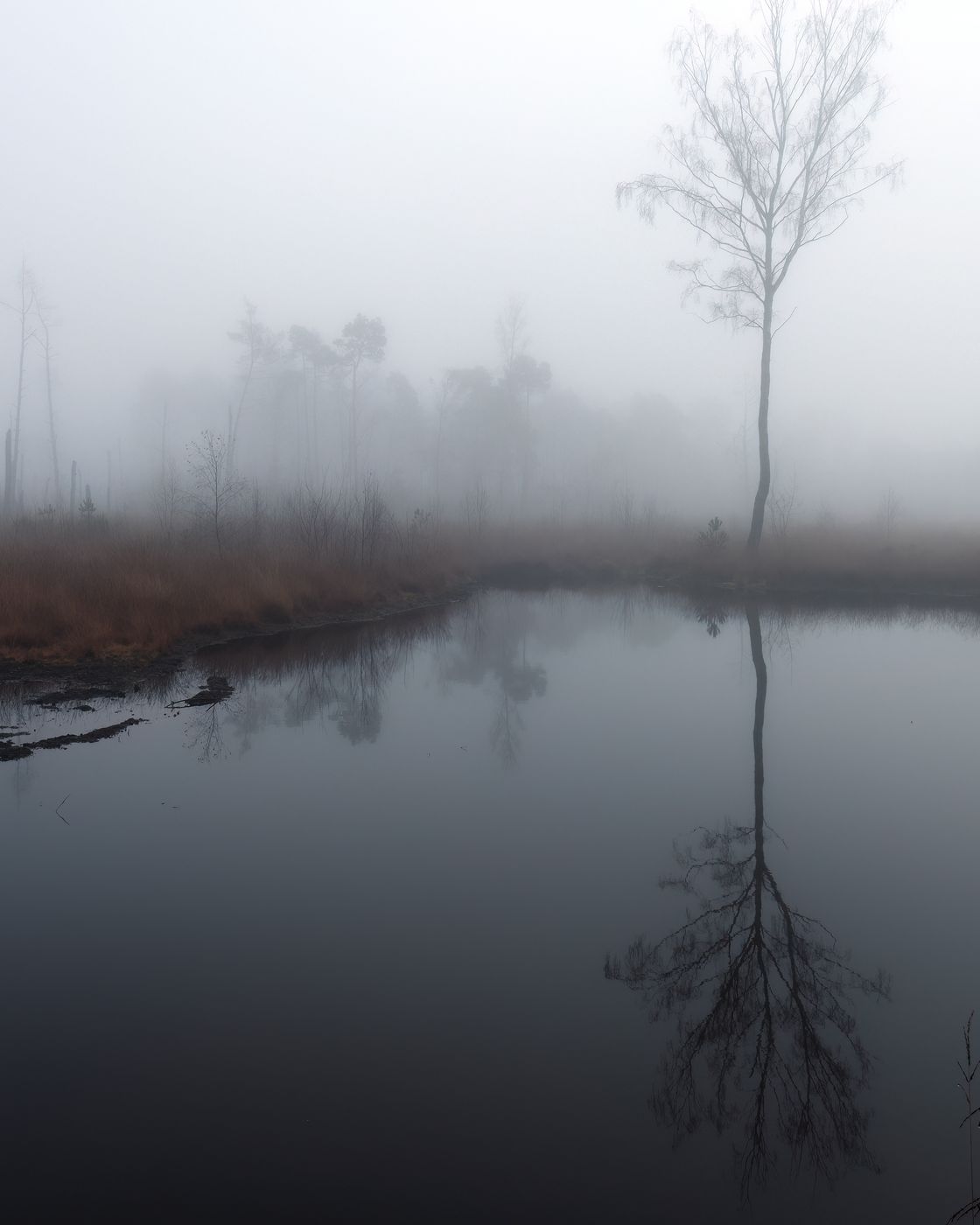 Tister Moor, Germany