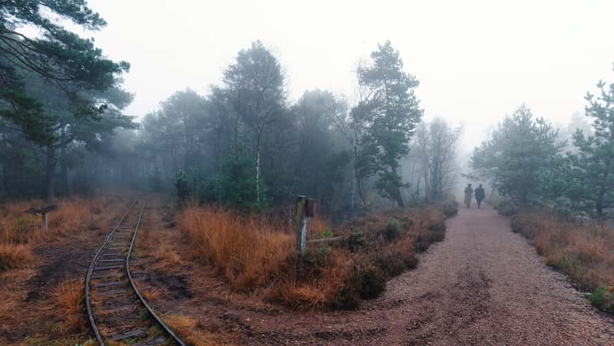 Tister Moor