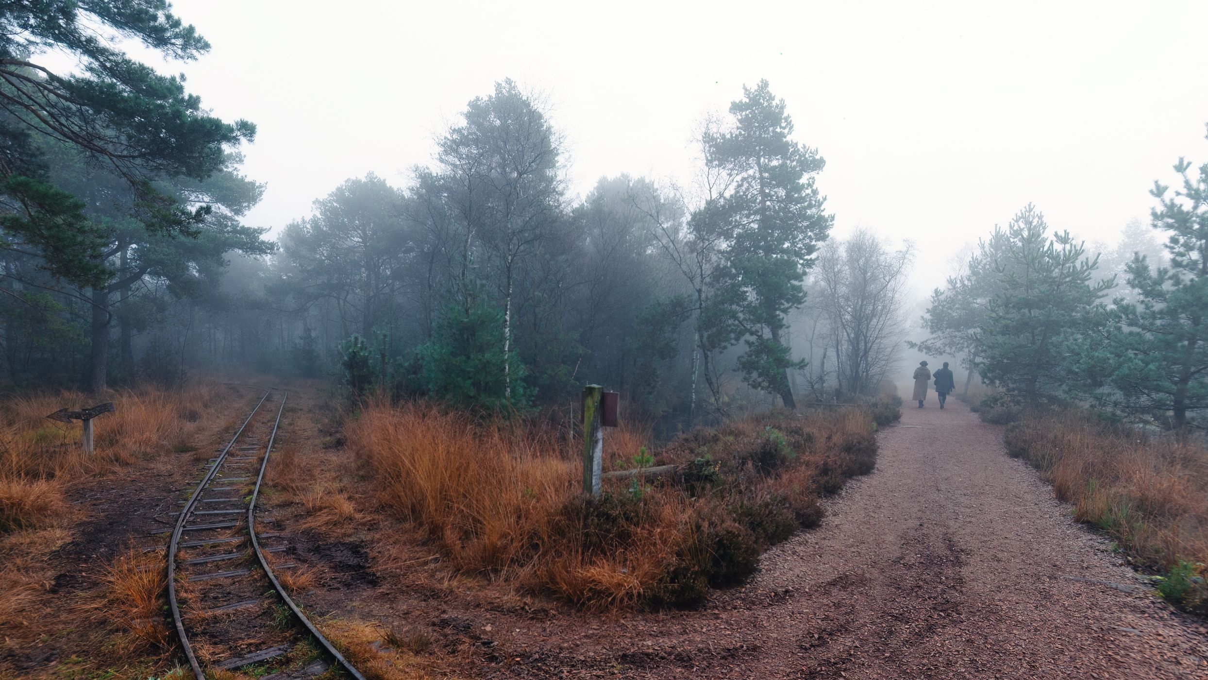 Tister Moor, Germany