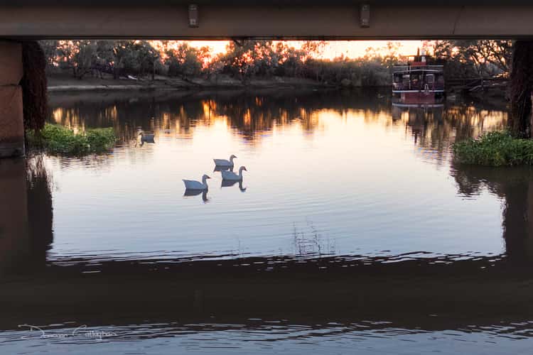 Under the bridge, Thomson's River, Longreach, Queensland
