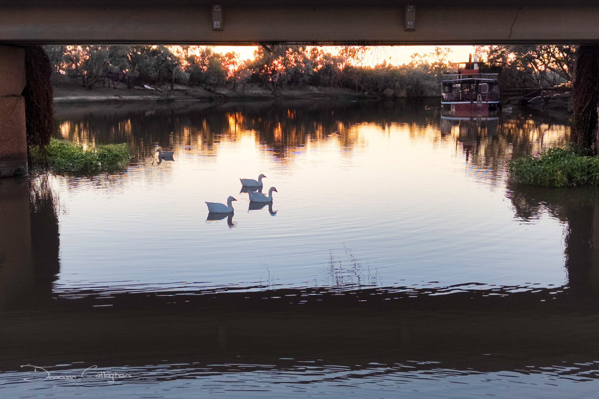 Under the bridge, Thomson's River, Longreach, Queensland, Australia