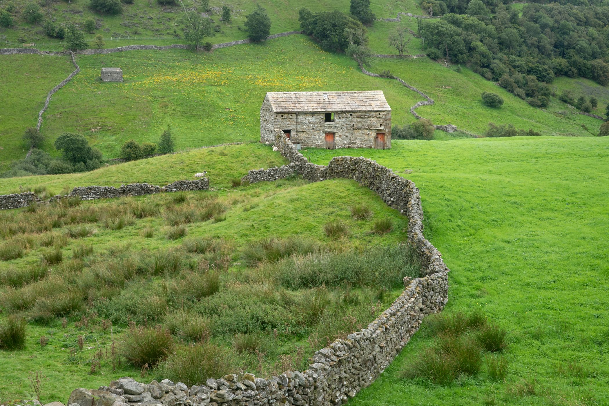 Upper Swaledale, United Kingdom