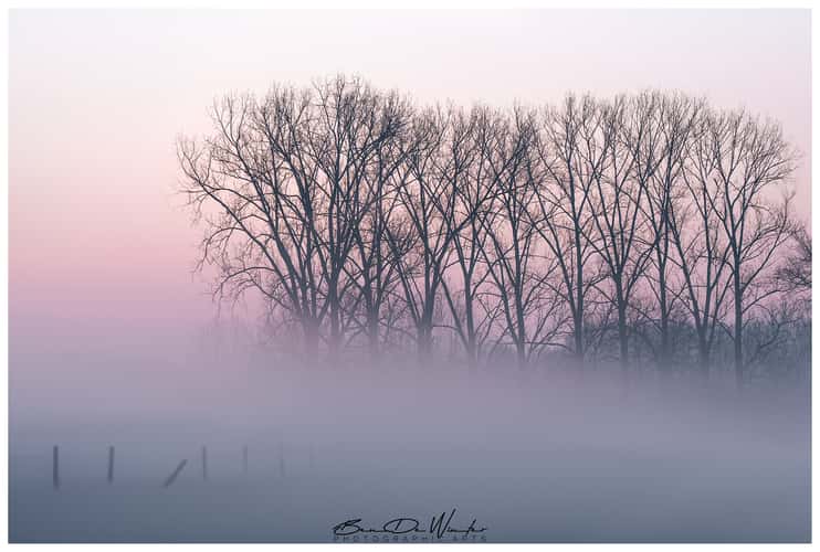 Valley of the Demer, Aarschot