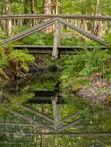 Wild Gardens of Acadia