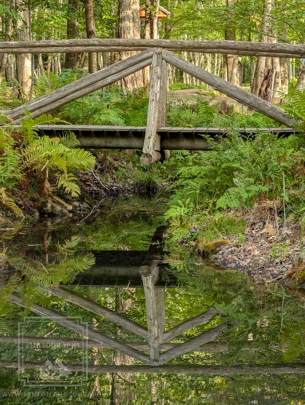 Wild Gardens of Acadia, USA