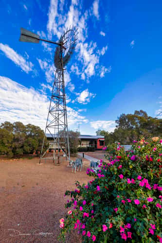 Windmill, Windorah, Queensland