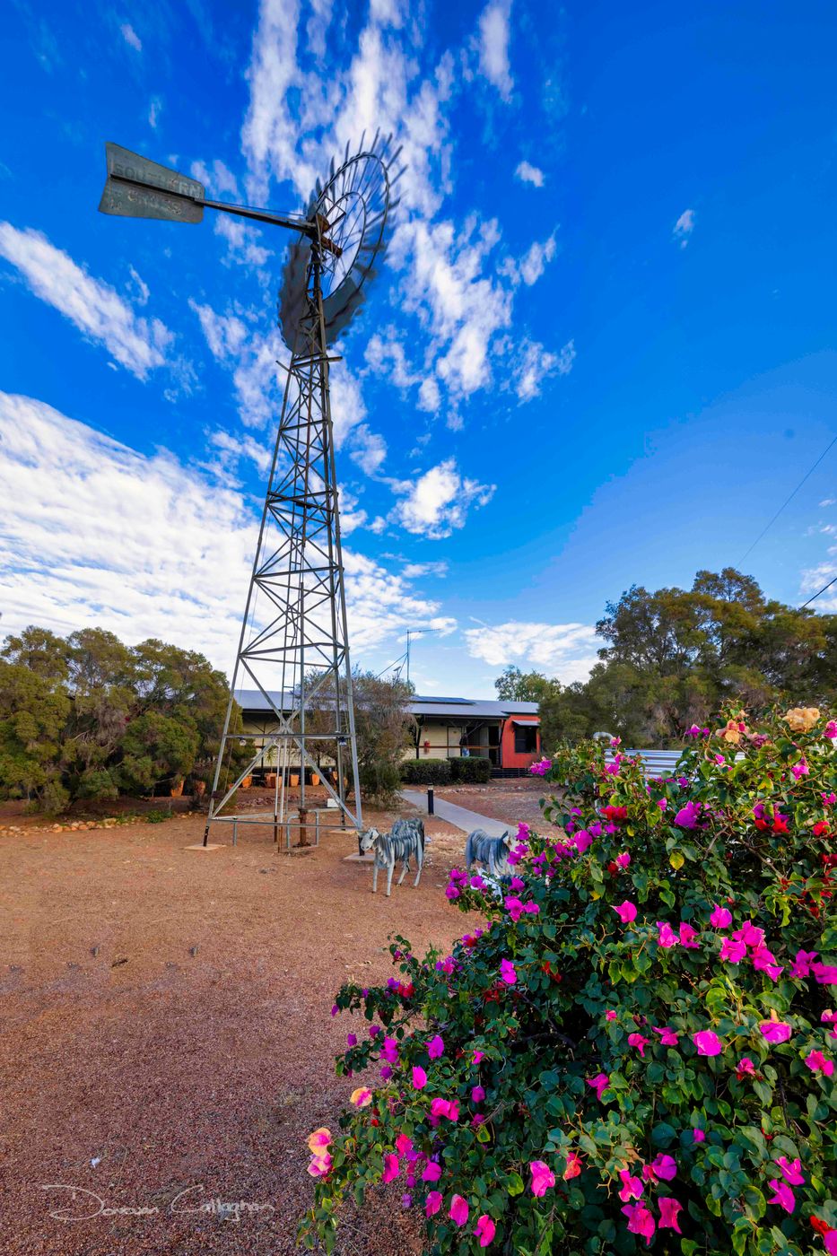 Windmill, Windorah, Queensland, Australia