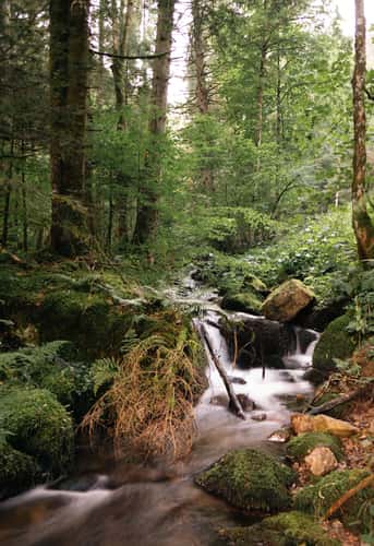 Zweribach watterfall