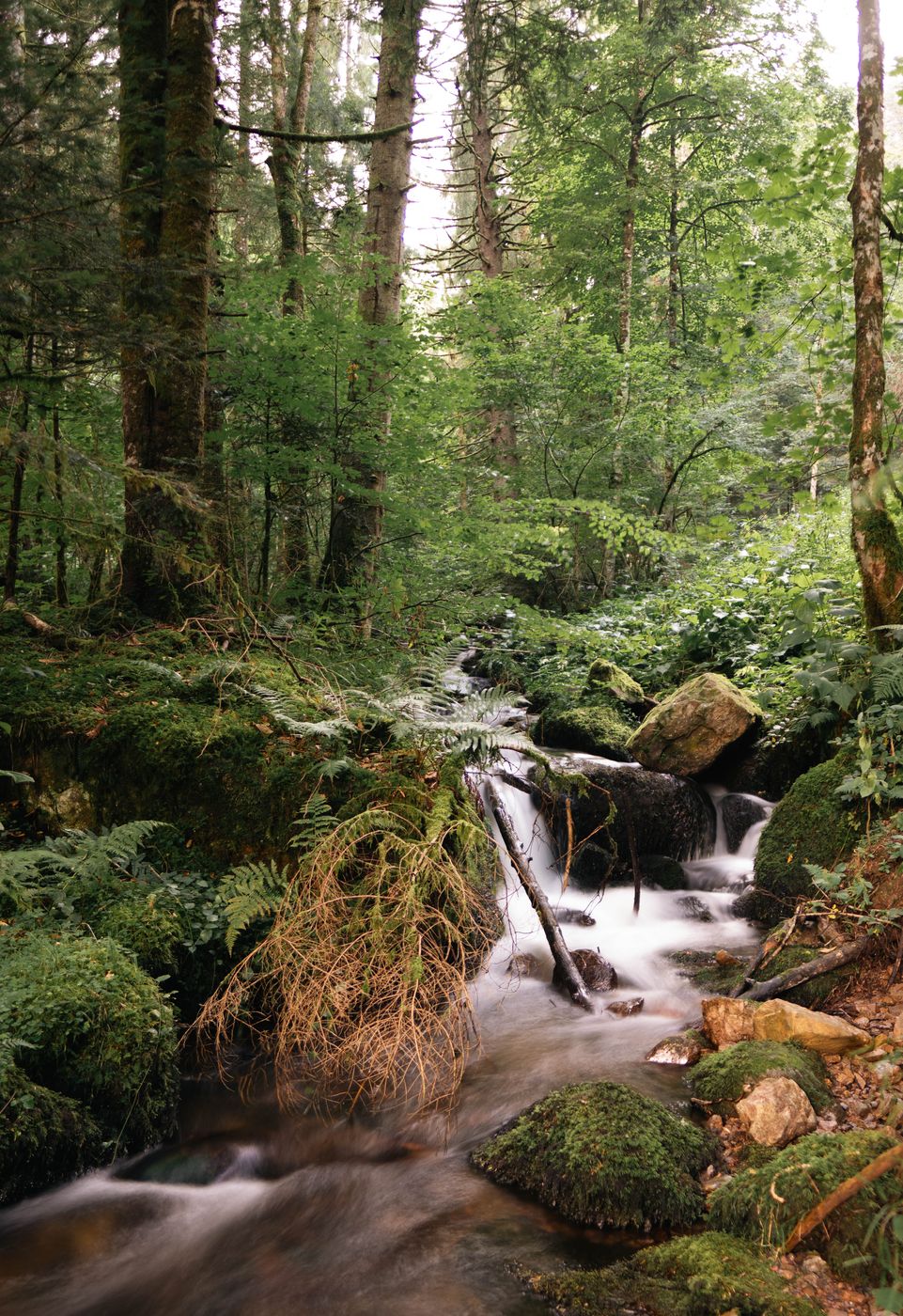 Zweribach watterfall, Germany
